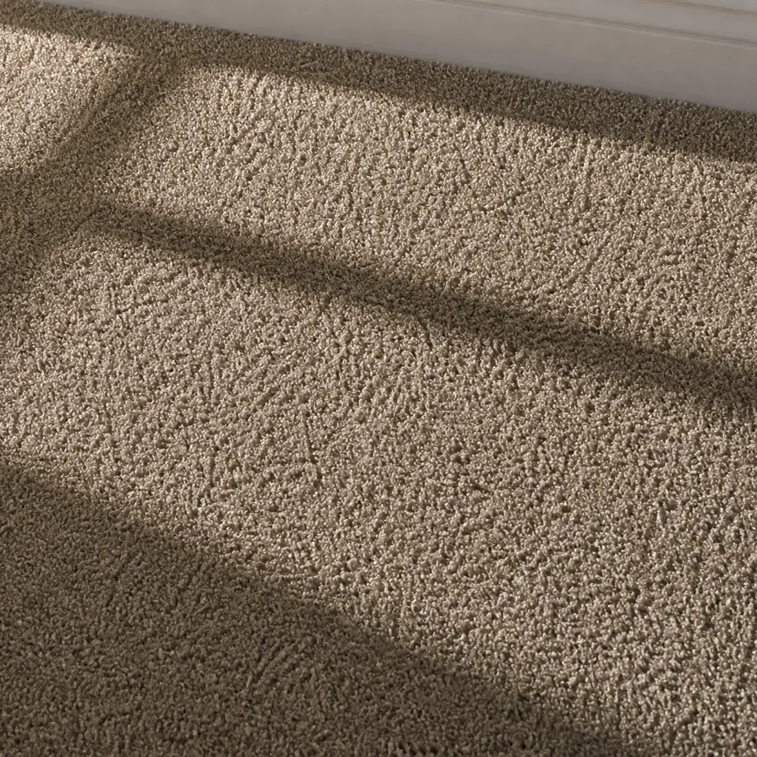 Show Carpet